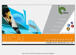 宁波市对外经济贸易信息中心 一站式专业设计与信息服务解决方案